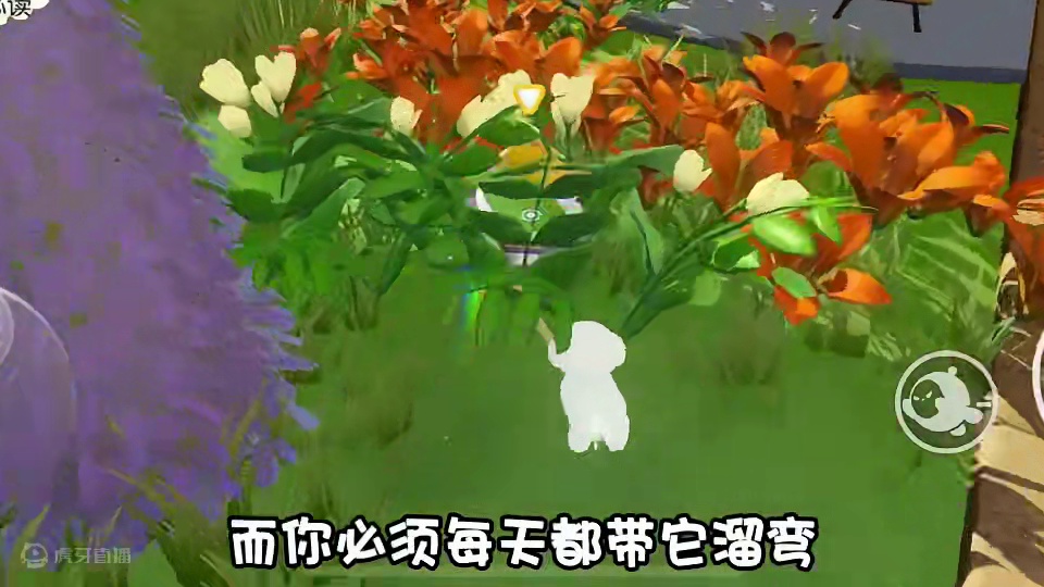 现实里养不了的宠物就在蛋仔里养吧 #蛋仔奇思妙想计划  #蛋仔派对