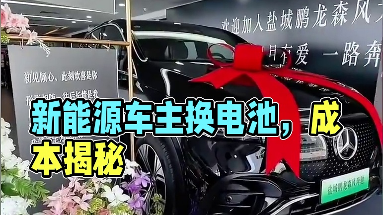 天都塌了，首批新能源车主要开始换电池了#新能源汽车 #选油车还是新能源车 #新能源电池