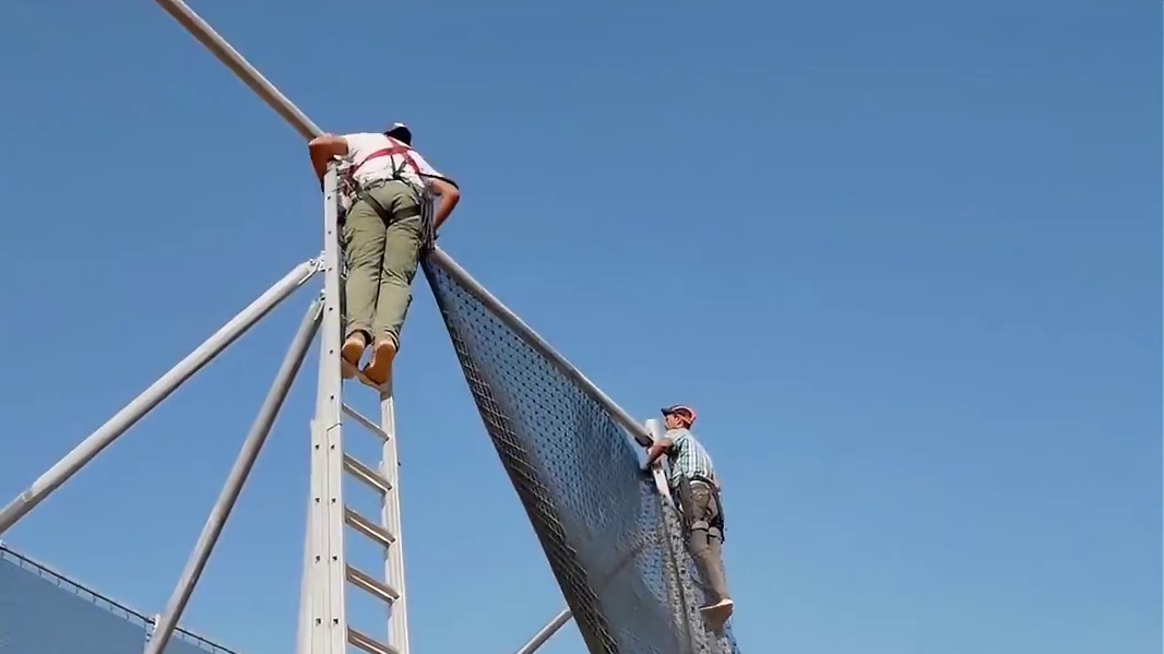 小小的一颗果子却难倒了一堆老外，却被我国智慧的劳动人民一招解决！#沙棘原浆 #沙棘果 #沙棘