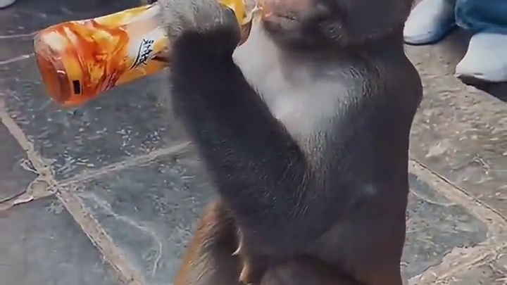 我发布了一个新视频，快来围观吧！