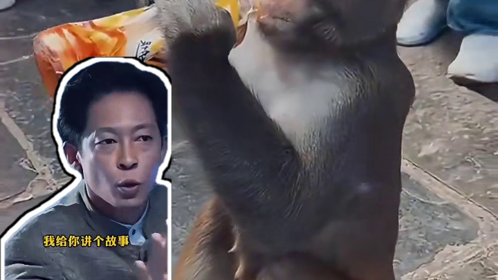 我发布了一个新视频，快来围观吧！