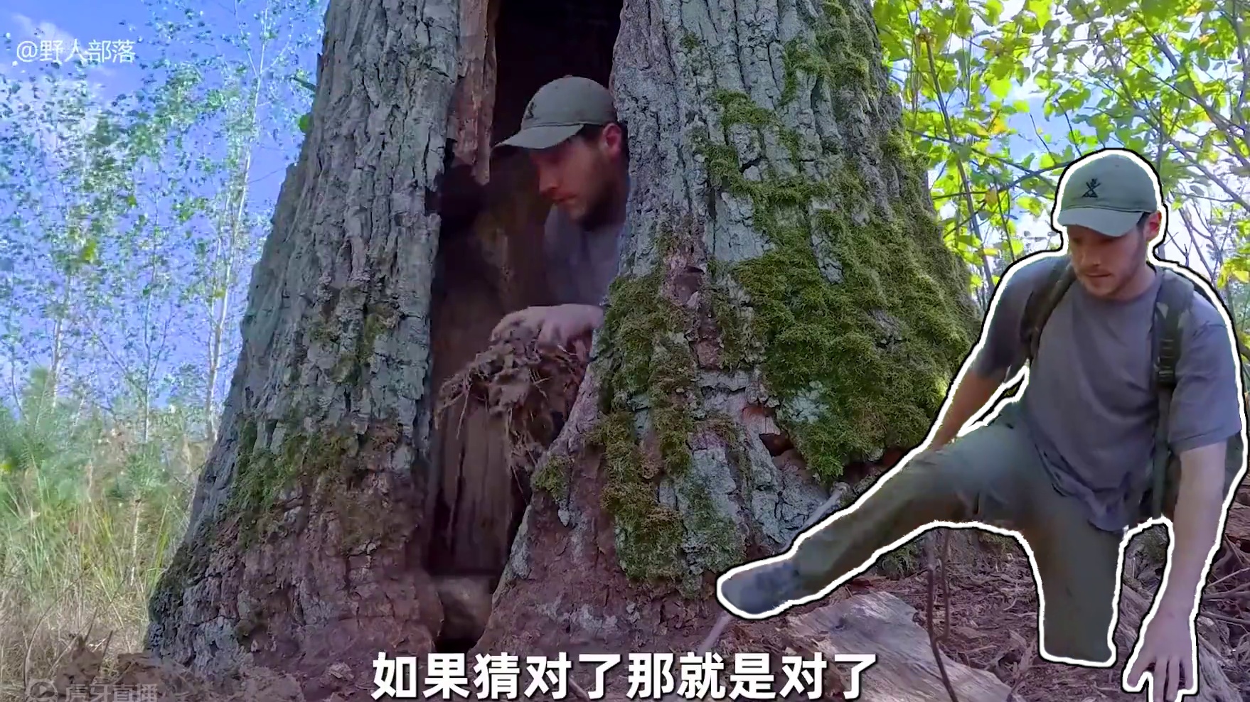 这才是野外建造的天花板，男人利用枯树建造豪华树屋 #荒野建造 #野外生存 #庇护所建造 #户外