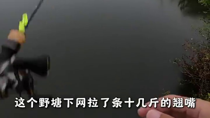 听村里老人说这里网了条十几斤翘嘴，下雨天也要出来甩两杆！ #路亚 #微物