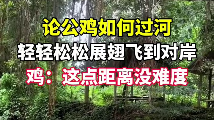 冒那么大险到对面干嘛呢？