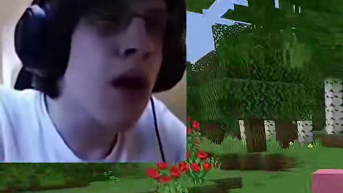 #我的世界 #mc不灭 MC官方和博主眼里的小概率事件