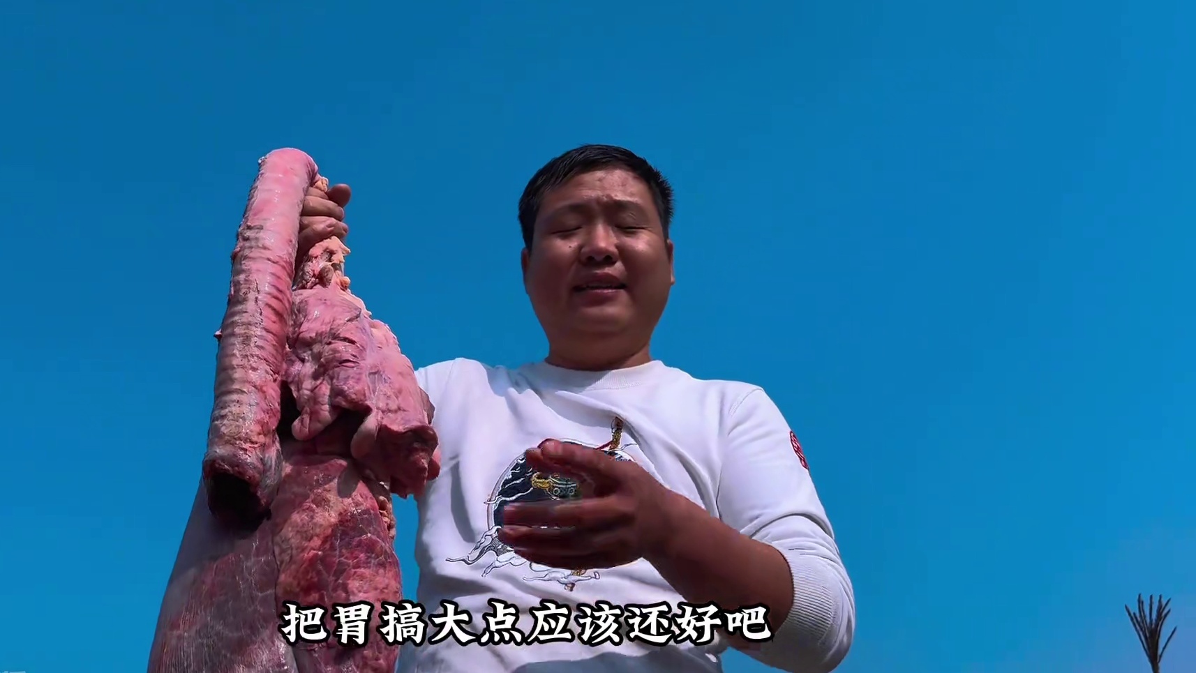 捡便宜搞了个牛肺，老二做翻车了，大哥直接不吃了！ #新农人计划2024 #农村美食 #人间烟火 #治