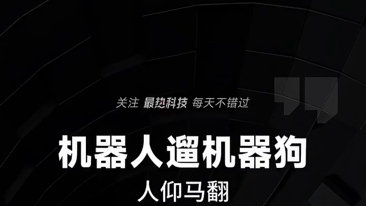 机器人遛机器狗，人仰马翻 #机器人  #机器狗  #人工智能  #中国  #科技