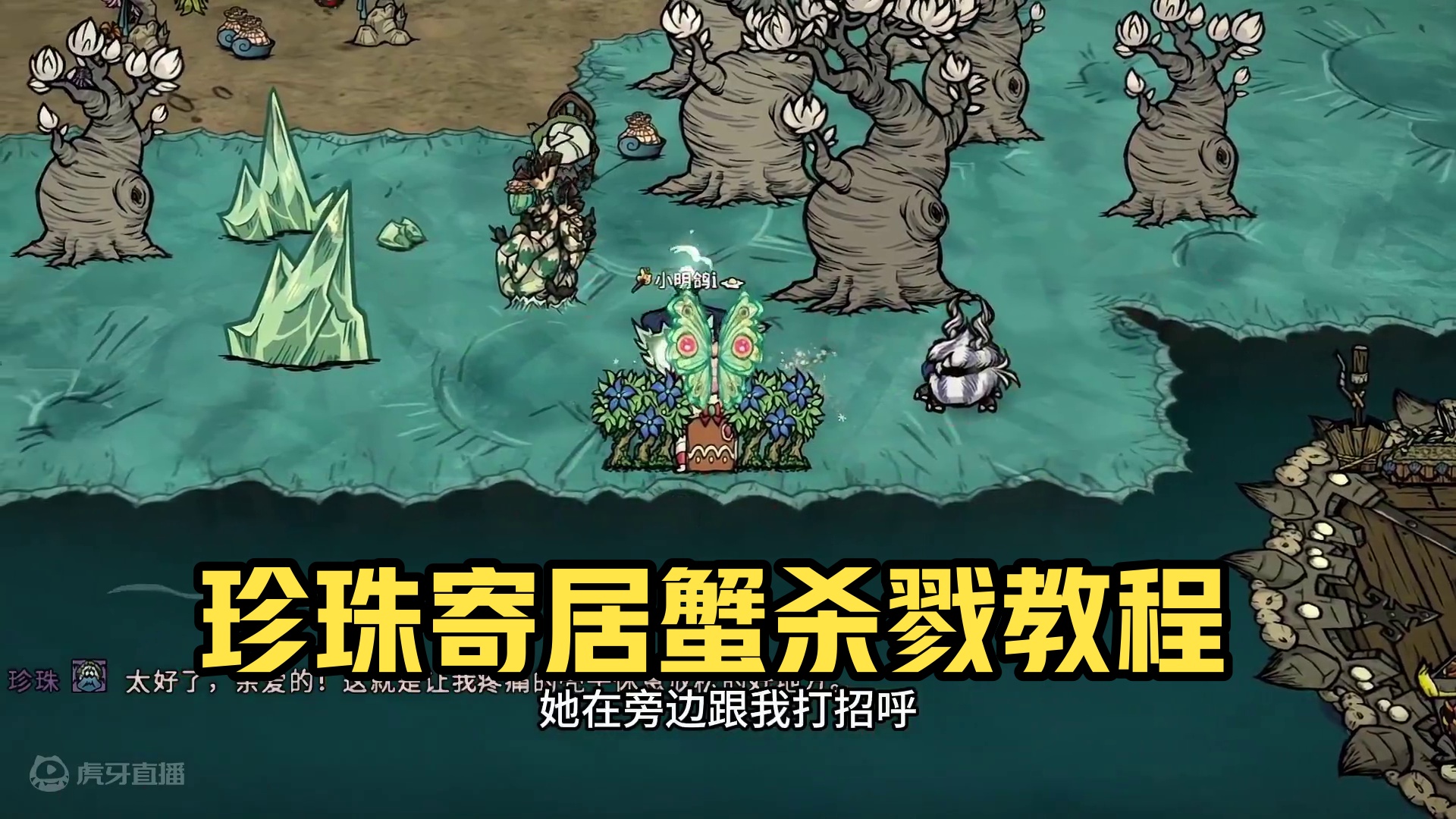 家里养个珍珠寄居蟹怎么样？ 求关注啦！珍珠是独一无二的！但我想再来一个，先杀再养！饥荒联机版#饥荒联