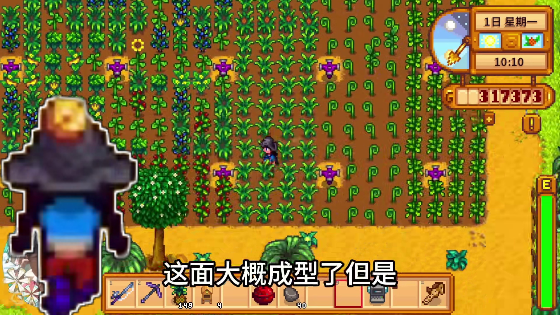 【星露谷物语】来姜岛，去火山！