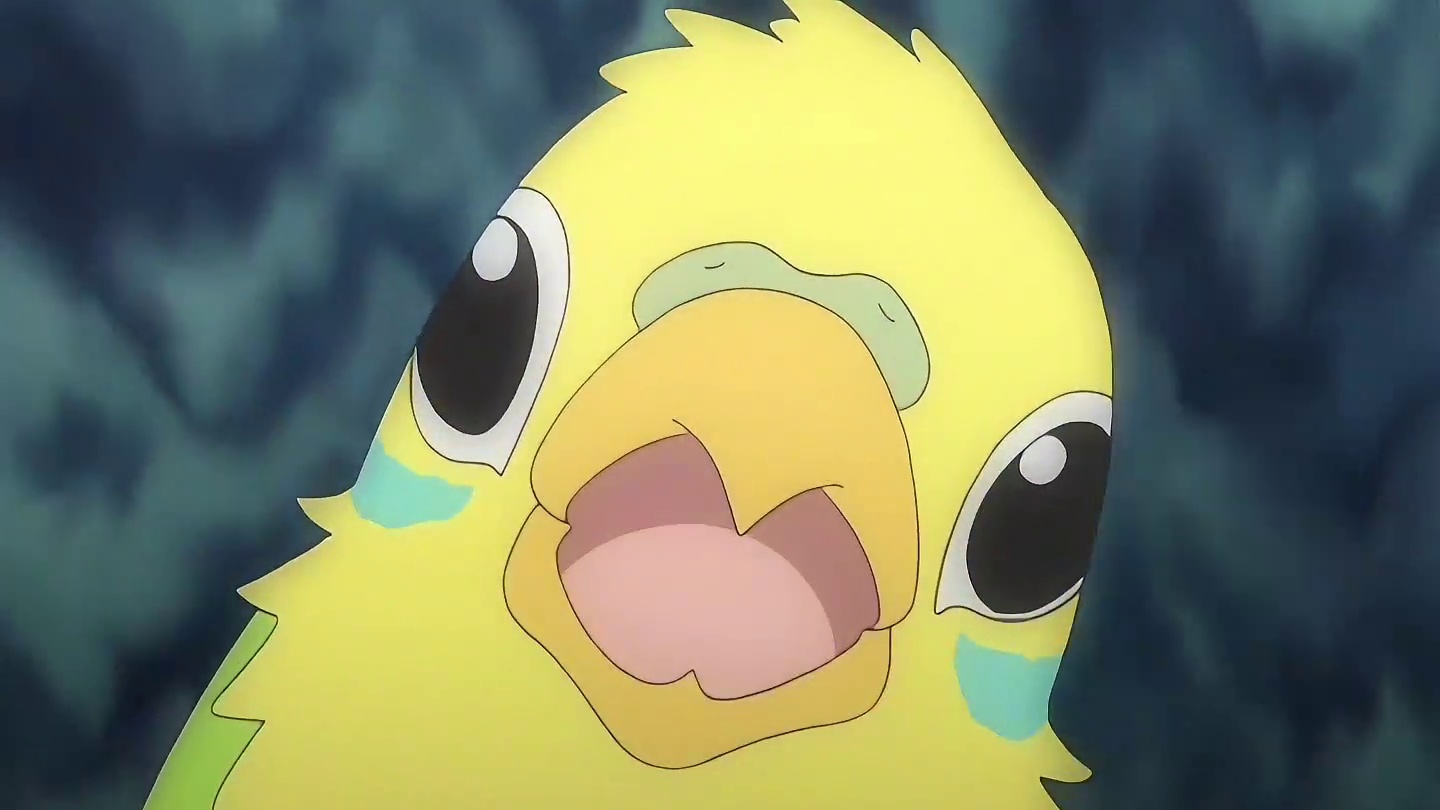 腹黑小奶猫第一次受到制裁。 #甜甜私房猫 #治愈 #可爱