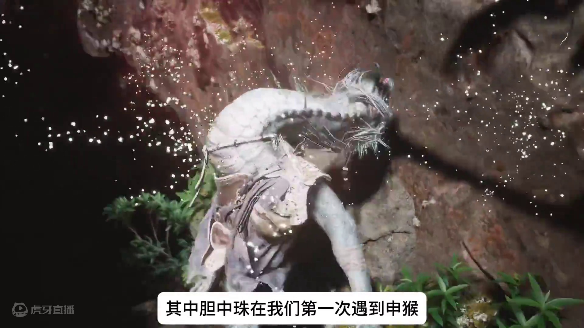 黑神话悟空攻略156：所有酒食|泡酒物全收集攻略！ #黑神话悟空  #黑神话悟空攻略 #黑神话悟空创