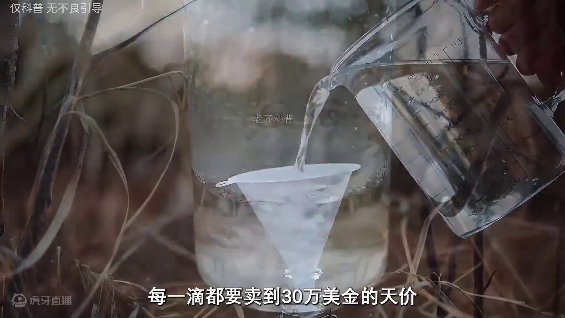 他们为了不被饿死，竟然将隐藏了几百年的秘密卖给黑心商人！#科普 #白桦树 #白桦树汁 #双11寻味环