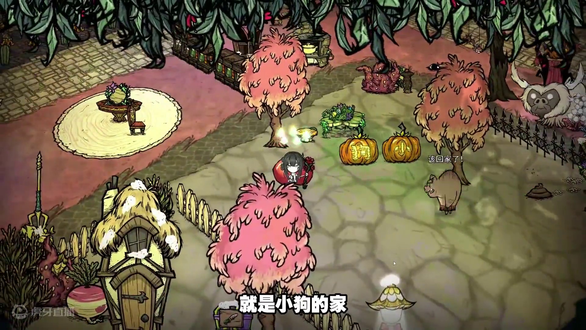 饥荒联机版：当大植物从地里长出来的那一刻挺开心的 #饥荒