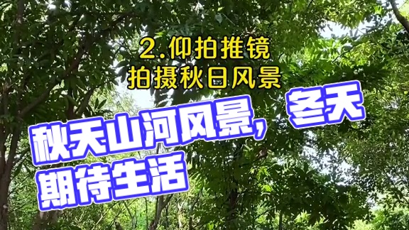 秋天小短片试试这样拍｜“人间忽晚，山河已秋。一个转身，秋天成了风景，冬天成了期待。好好生活，慢慢相遇