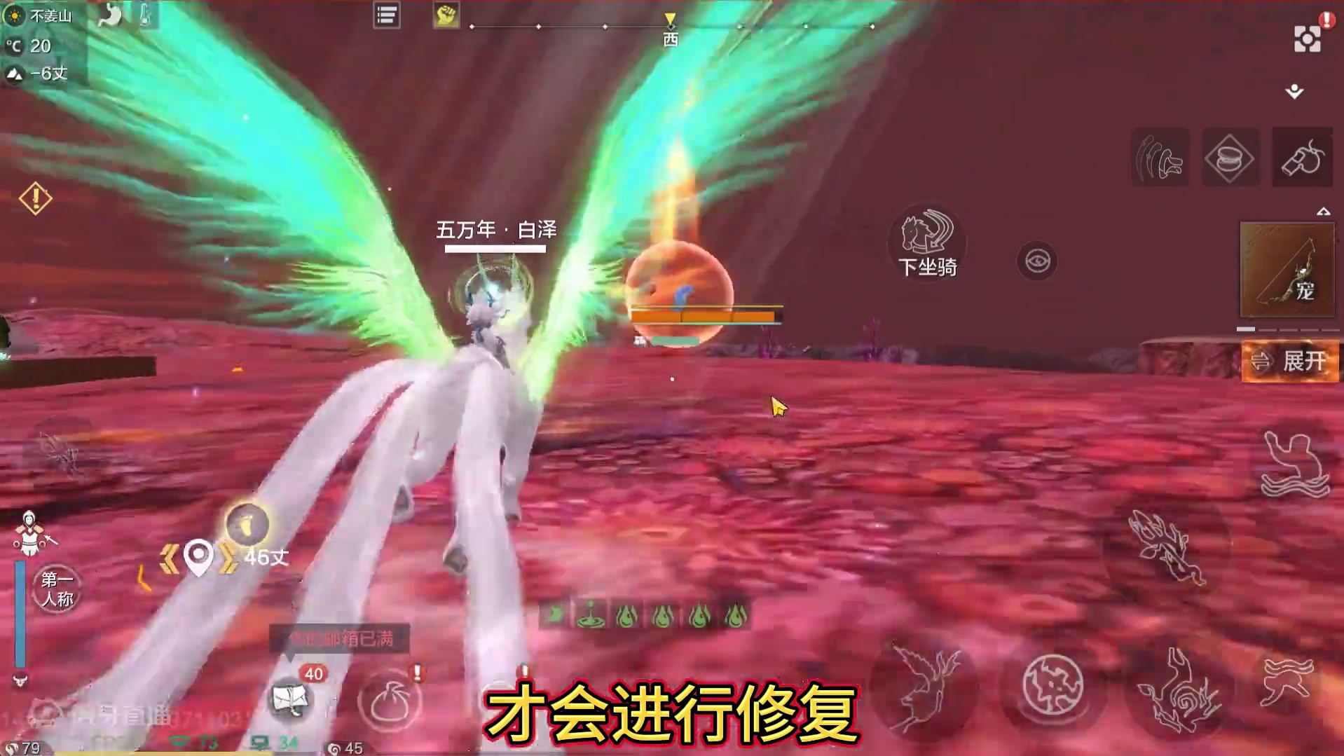 南海鱼群直接消失 是BUG导致？ 继续探索锁灵弓/宠物升级 新找的两个不错的白猿刷新点#妄想山海 #