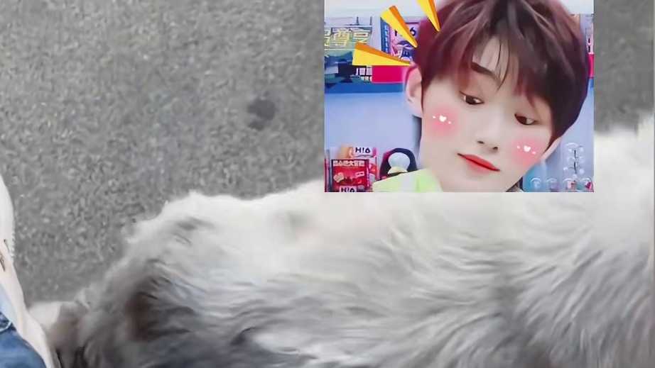 流浪小白也会遇到属于它的心软的神吧 #狗狗的心思都写在脸上了 #这个世界不能没有小狗 #流浪狗 #它