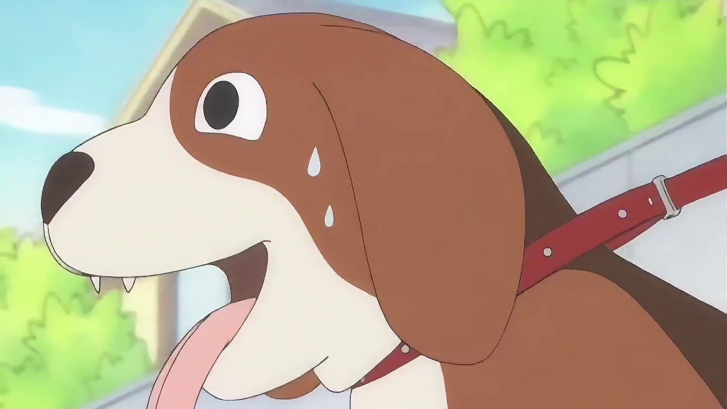 当一只被所有人爱着的小猫 看着就非常的幸福。 #甜甜私房猫 #治愈 #可爱