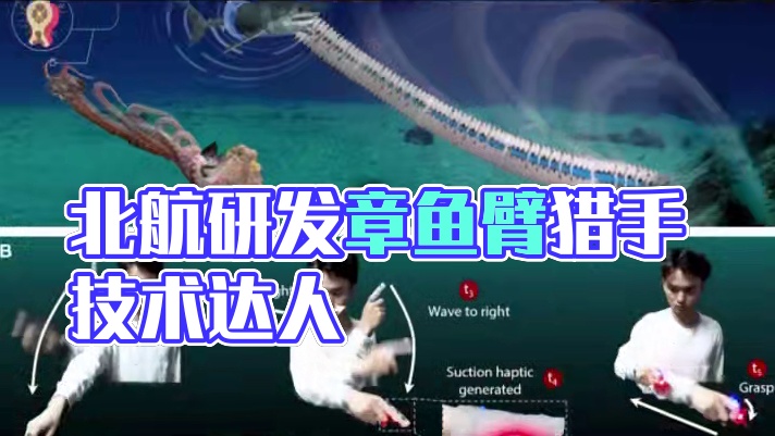北航研发“章鱼臂”，猎物能手到擒来！#北京航空航天大学  #中国  #机械臂  #章鱼  #科技强国