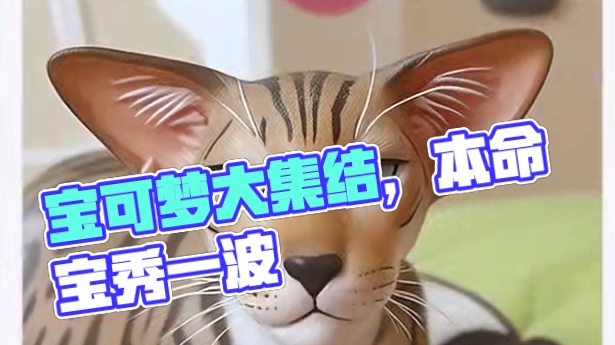 一样是三角脑袋 #宝可梦大集结 #宝可梦大集结联动上海消防 #宝可梦大集结正式上线 #秀出你的本命宝