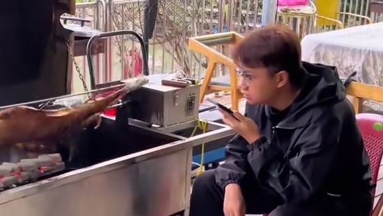 福州市方圆百里你在哪吃我去哪烤#真材实料才能做出好味道 #外酥里嫩 #同城美食 #团建 #烤全羊