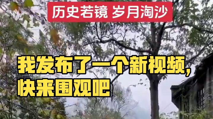 我发布了一个新视频，快来围观吧！