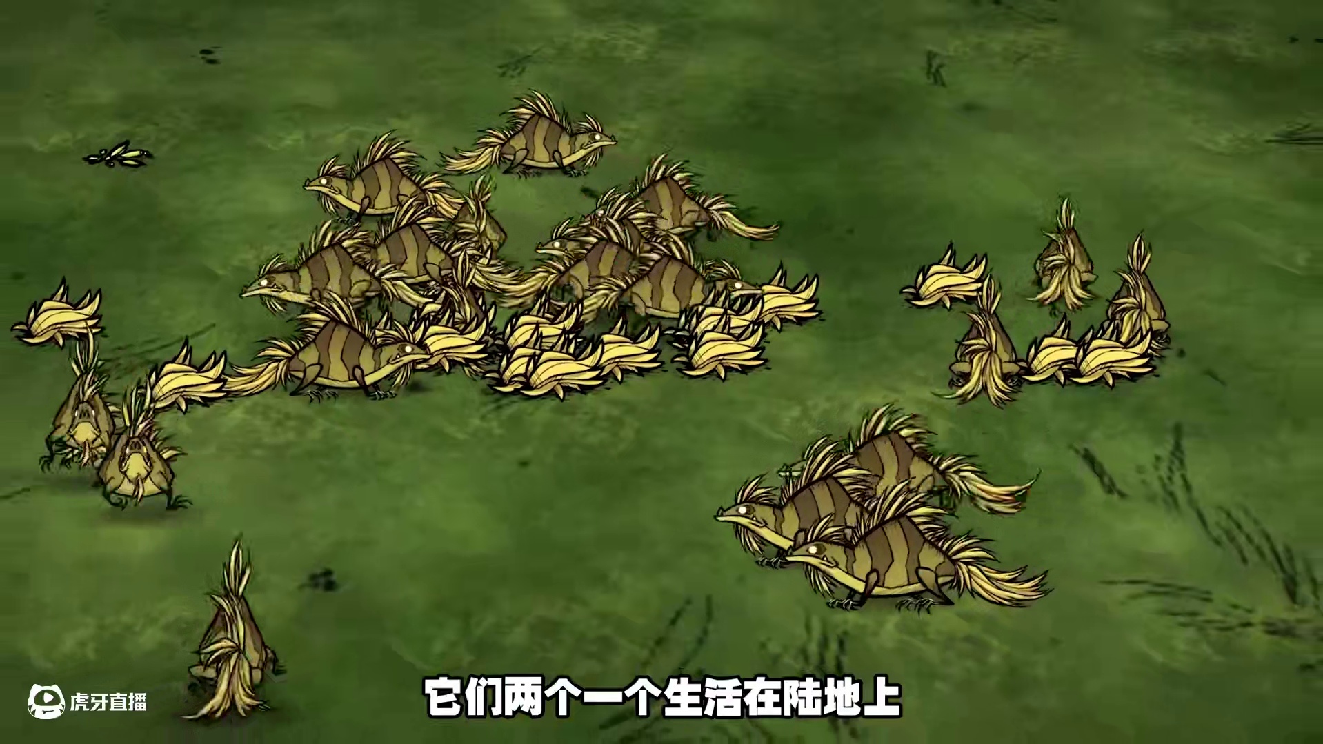 饥荒联机版：最没用的两种生物草蜥蜴和草鳄鱼 #饥荒