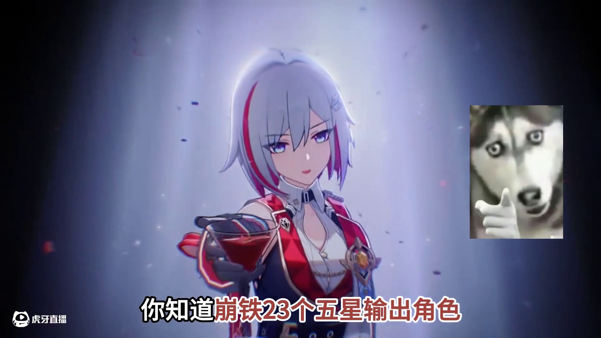 崩铁23个五星输出角色，0+1哪些使用体验最好？个人经验分享 #崩坏星穹铁道 #毗乃昆尼末法世记 #