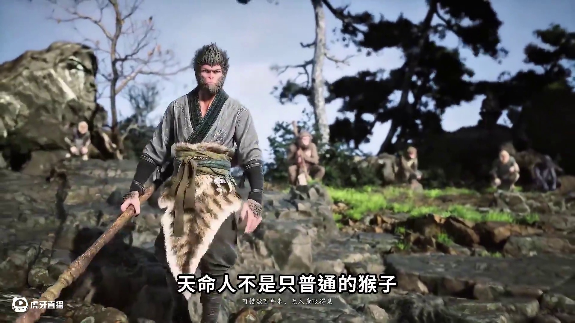 天命人是大圣毫毛，还是普通猴子？《黑神话悟空》 #黑神话悟空  #黑神话悟空创作激励  #黑神话悟空