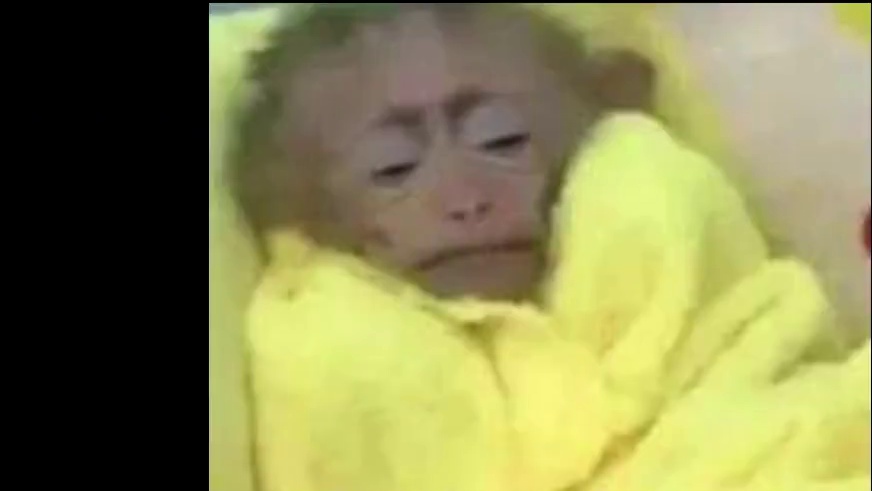 小米SU7：1v3战绩可查#小米SU7 #万万没想到 #国产车 #汽车