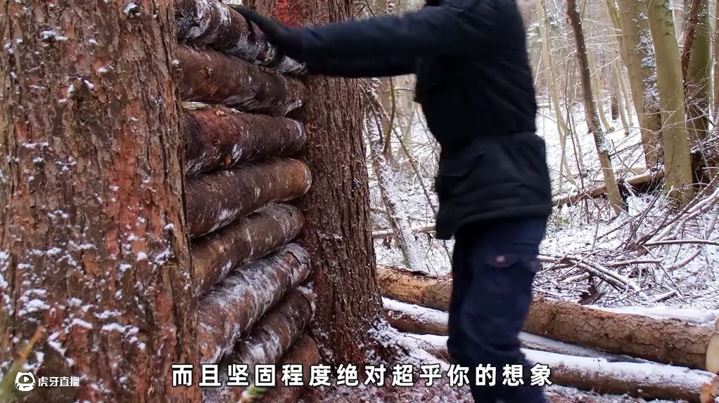 这个依靠五颗大树搭建出的庇护所，是不是你的梦中情屋#荒野建造#野外生活#解压助眠#无尽冬日#快乐冰雪