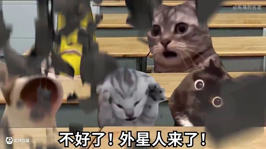 外星人又来学校了！猫猫们停课出击！ #搞笑 #鬼畜 #外星人 #meme #抽象