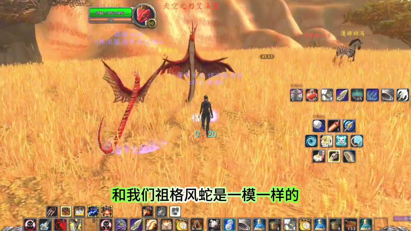 #魔兽世界 60版本 猎人升级路上，好看的宠物汇总第一篇#游戏解说