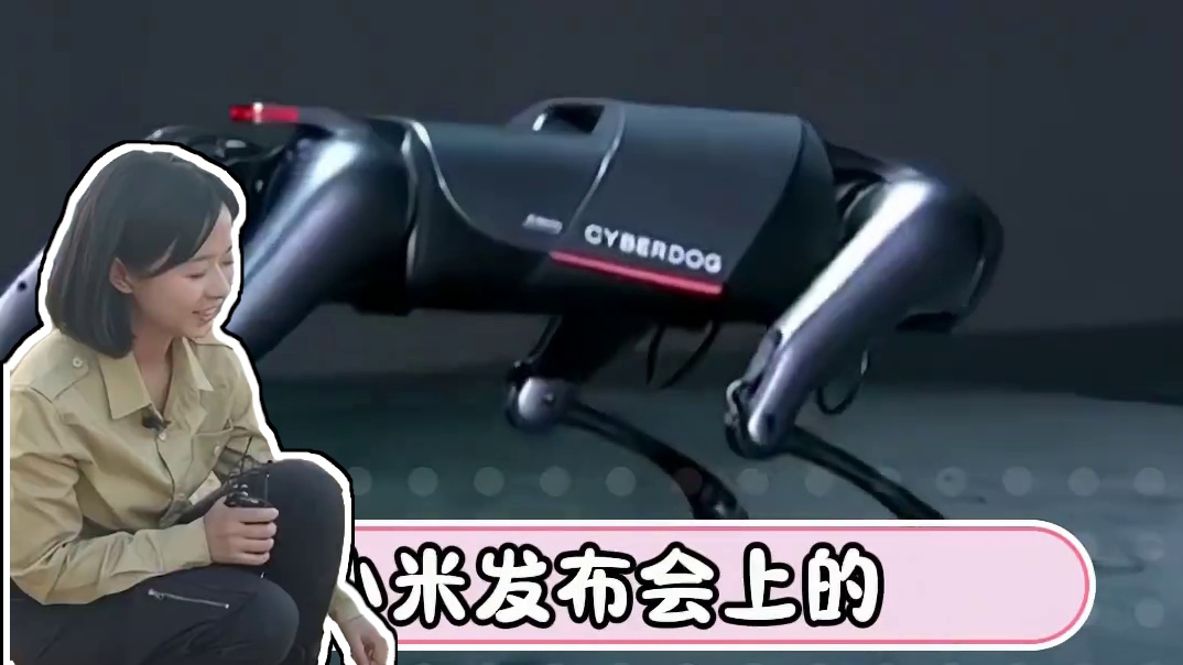 铁蛋：俺可不是孬种 #雷军 #小米 #珠海航展 #科技