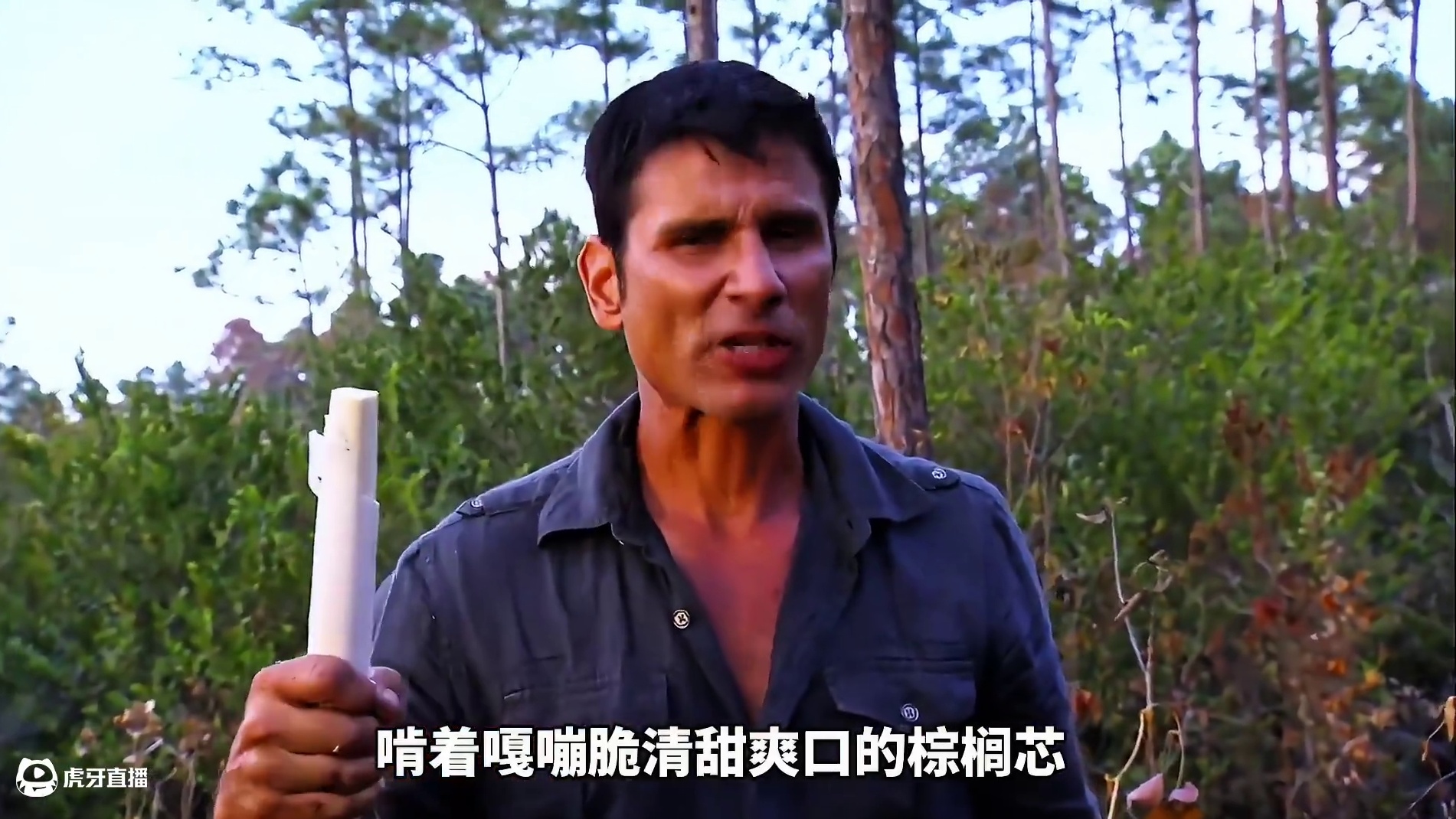 求生夫妻挡设置陷阱抓野猪，吃上香气扑鼻烤肉串，嘎嘣脆的棕榈芯#荒野求生 #野外求生夫妻档 #野外生存