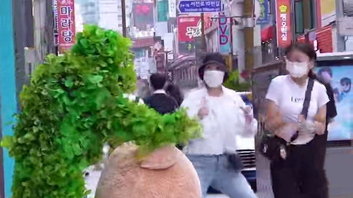 国外街头整蛊恶搞 (895)