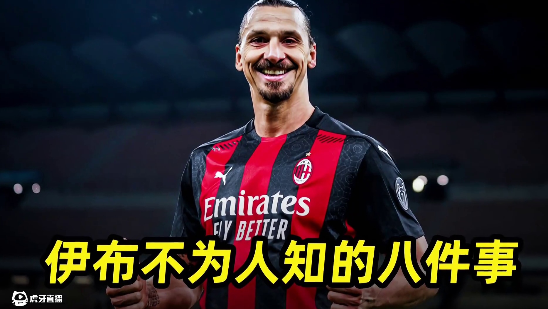 盘点伊布不为人知的8件事：马中赤兔，人中伊布！