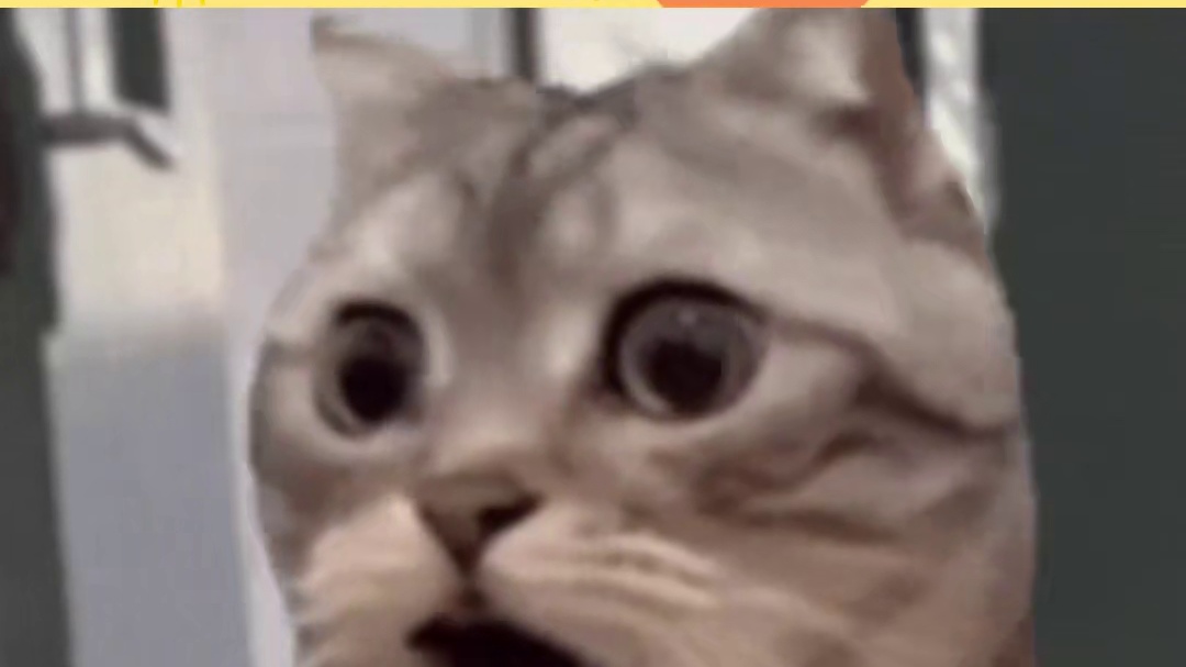 好多人啊 #马拉松 #输在起跑线 #比赛现场