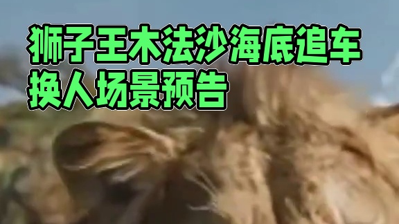 狮子王木法沙预告片下这月底出来了遇大家能见面
