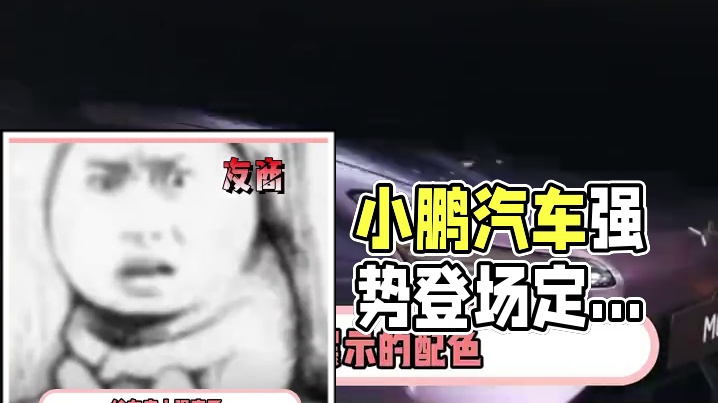 小米做汽车界的苹果，小鹏做汽车界的小米 #小米#小鹏#雷军#万万想不到#搞笑