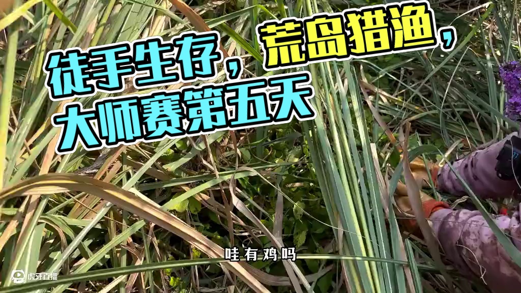 老六荒野 第二季 荒野大师赛  徒手荒野狩猎 第5天 #户外 #第一视角 #荒野 #荒野求生 #荒野