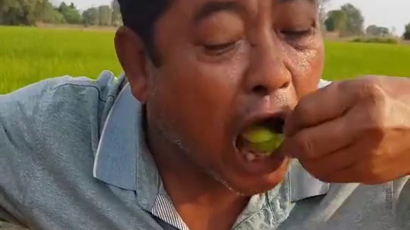 吃牛肝 #泰国美食 #东南亚美食 #奇特美食大搜罗