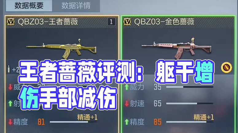 QBZ03王者蔷薇评测，增加躯干伤害降低手部伤害 #CF手游9周年 #CF手游