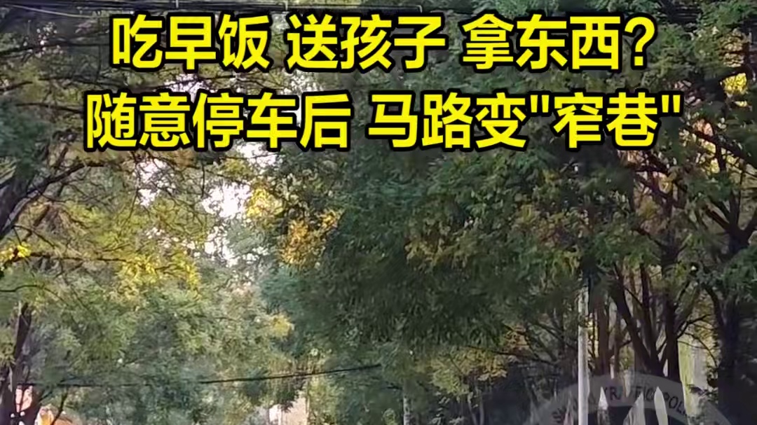 别再让马路变“窄巷”，于己方便的同时，也把通行权利还给大家……#法润平安文明相伴 #文明交通你我同行