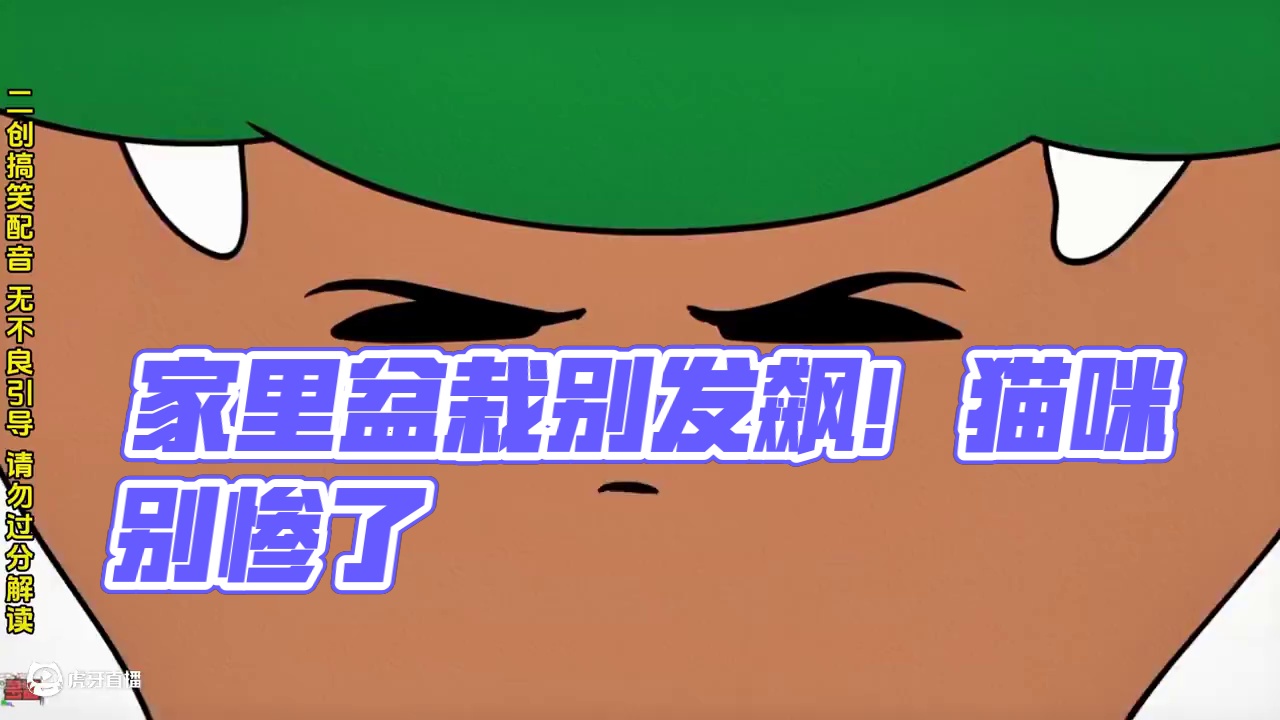 《家里的盆栽别发飙了，猫叽别鸽子别惨了！！！》 #湖南方言 #搞笑配音 #长沙话搞笑配音 #一本正经