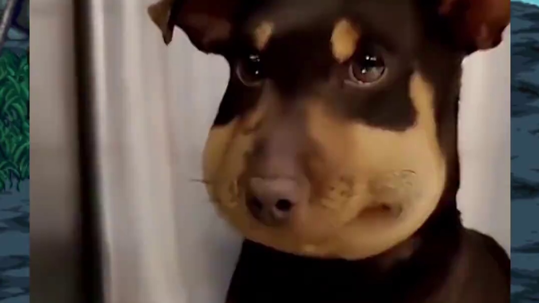 我已经好几年没过去过网吧了，毕竟DNF玩家家里都买电脑了吧！ #dnf #DNF金秋畅玩季 #dnf