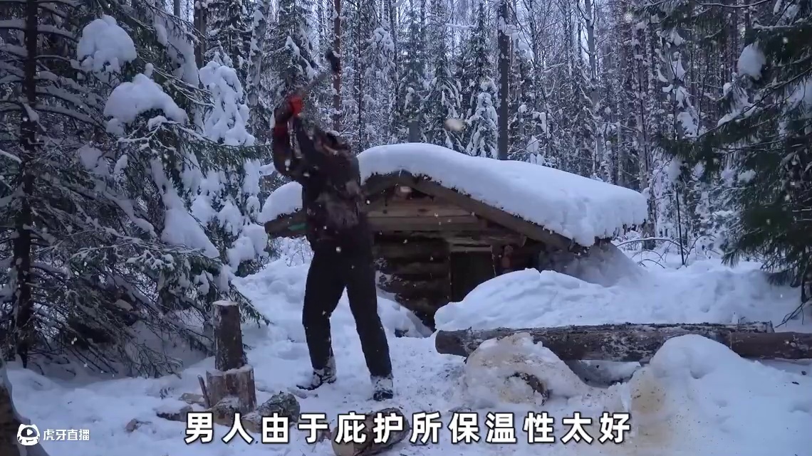 一口气看完老徐在野外搭建木屋的全过程#野外建造#荒野建造#解压助眠#野外生活