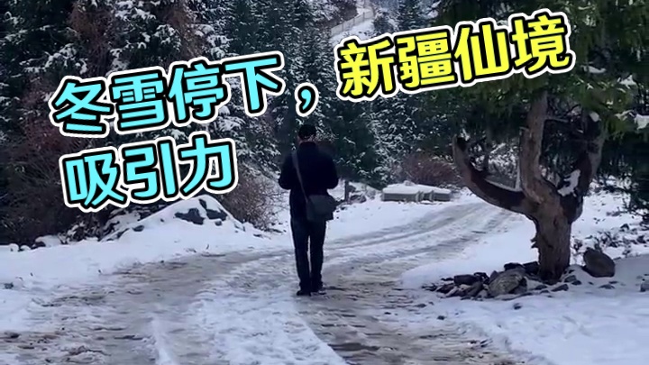 很多东西可遇不可求，就像这冬雪，雪停了便是仙境。#旅行大玩家 #新疆 #又是一年冬 #雪一落这里就美