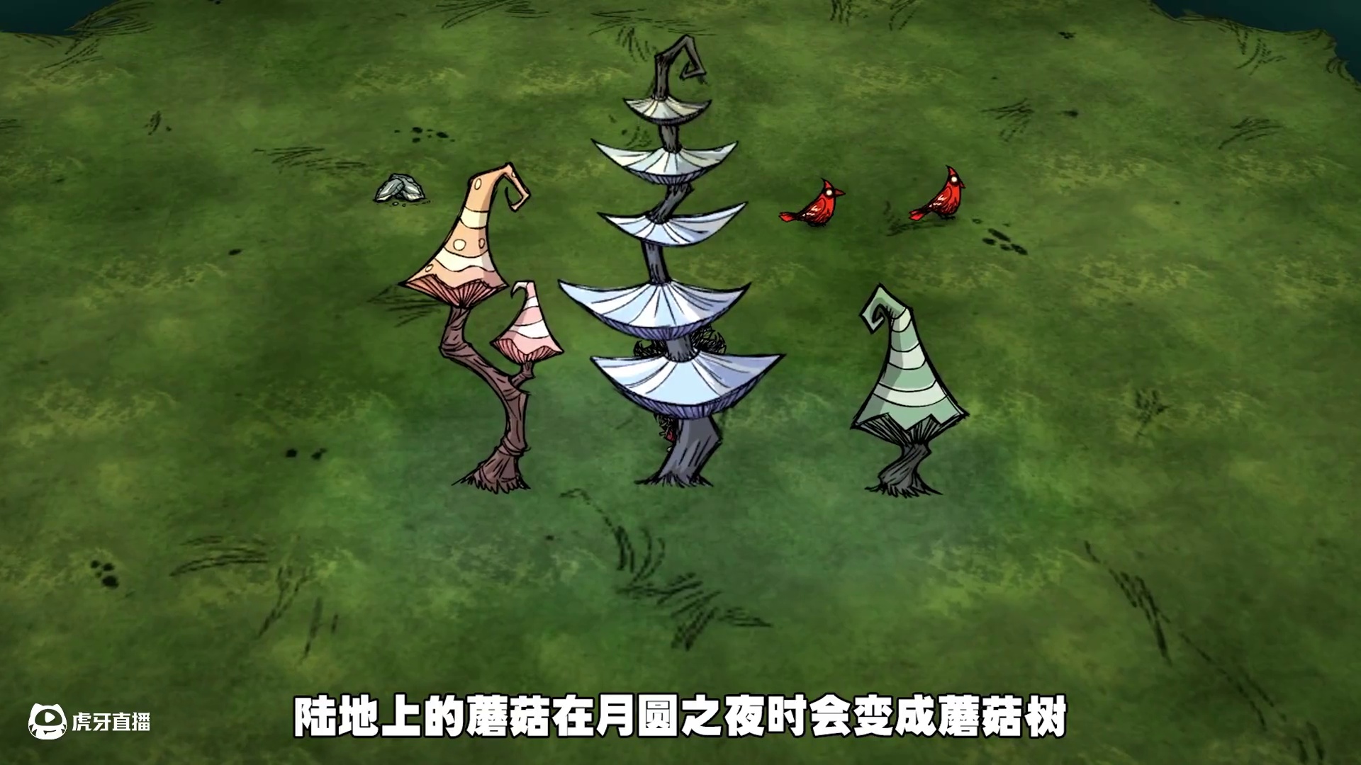 饥荒联机版：红蘑菇是一种很厉害的武器 #饥荒