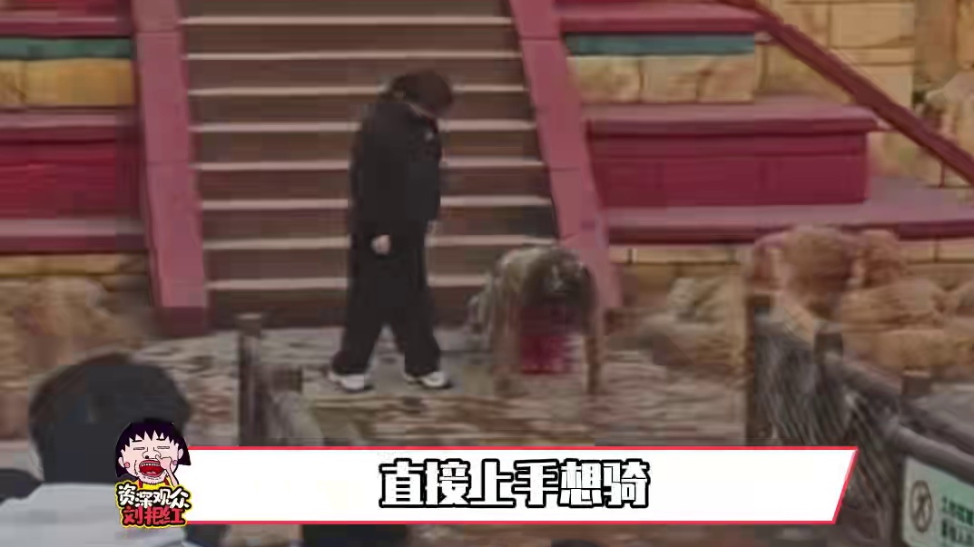 人善被人骑具象化了#搞笑 #娱乐评论大赏