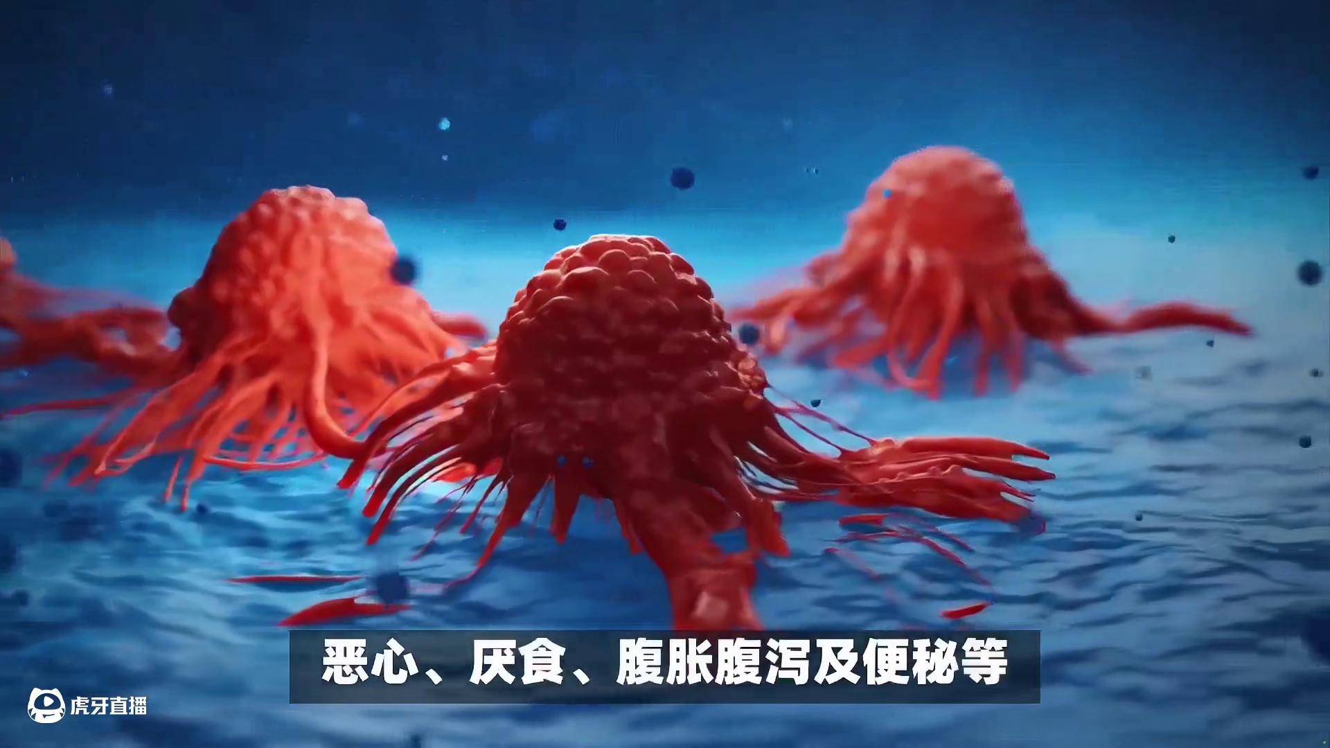 放化疗损伤肠胃致营养不良，吃它为肠胃解忧，轻松补营养